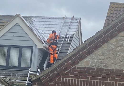 Roof Cleaning